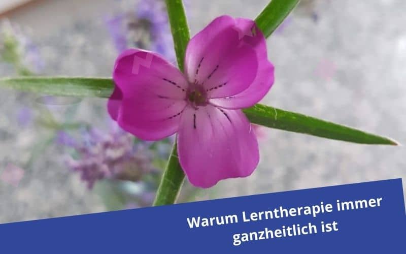 Warum Lerntherapie immer ganzheitlich ist