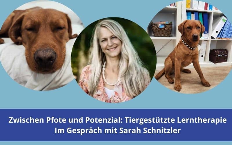 Zwischen Pfote und Potenzial: Tiergestützte Lerntherapie im Gespräch mit Sarah Schnitzler